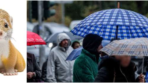 &quot;Ερχεται η κακοκαιρία... νυφίτσα&quot;: Το τερμάτισε ο Τσατραφύλλιας - Οι 9 περιοχές με ισχυρές βροχές - Νέο έκτακτο δελτίο της ΕΜΥ