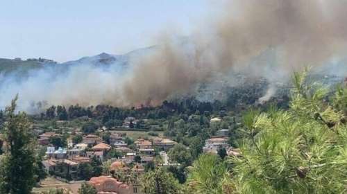 Φωτιά στις Σέρρες: Οριοθετήθηκε το μέτωπο στο χωριό Ορεινή -  Αποτεφρώθηκε δάσος
