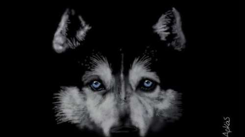 Αρκάς: Η σκληρή αλήθεια για τον θάνατο του Ολιβερ στην Αράχωβα και την κτηνωδία [εικόνα]