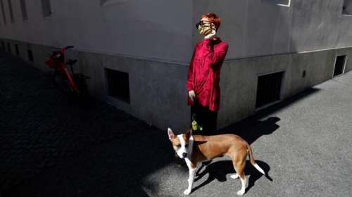 Κτηνίατροι: Μην απολυμαίνετε τους σκύλους και τις γάτες με χλωρίνη και υδροαλκοολικά τζελ