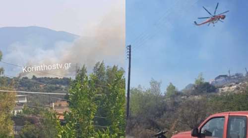 Φωτιά στους Αγίους Θεοδώρους: Επιχειρούν εναέρια μέσα- Δεν απειλούνται κατοικίες