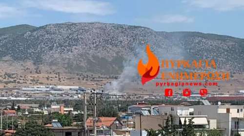 Συναγερμός για φωτιά κοντά σε εργοστάσια στον Ασπρόπυργο