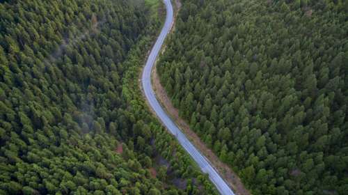 Παράταση της  απαγόρευσης μετακίνησης σε δάση, εθνικούς δρυμούς, περιοχές Natura και άλση