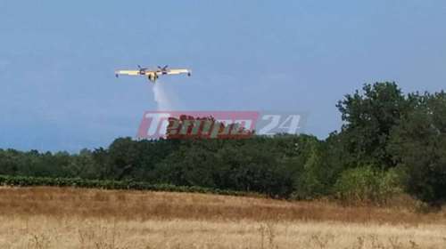 Μεγάλη πυρκαγιά κοντά στην πόλη της Κάτω Αχαΐας - Επιτόπου ισχυρές δυνάμεις της Πυροσβεσικής [Εικόνες-Βίντεο]