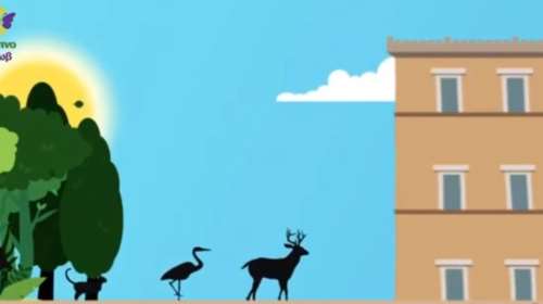 Εκλογές 2023 - Κόμμα για τα ζώα: Προεκλογικό σποτάκι  εμφανίζει ζώα να μπαίνουν στην Βουλή