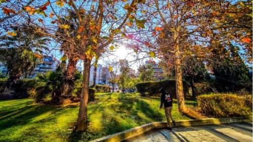 Καιρός: Σε υψηλά για την εποχή επίπεδα η θερμοκρασία - &quot;Με αλκυονίδες ημέρες θα υποδεχτούμε τον Φλεβάρη&quot;