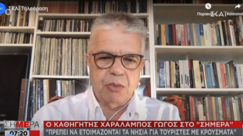 Γώγος: Επικίνδυνος ο συνωστισμός - Αρχές Ιουλίου η συζήτηση για νέο άνοιγμα συνόρων