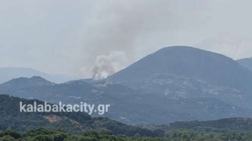 Μάχη με τις φλόγες στο Ορθοβούνι Καλαμπάκας - Σε εξέλιξη η πυρκαγιά στο Δρυμό Ωραιοκάστρου