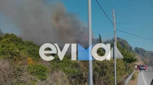 Φωτιά στην Εύβοια: Πυρκαγιά στον Αλμυροπόταμο - Σηκώθηκαν τρία εναέρια μέσα [εικόνες]