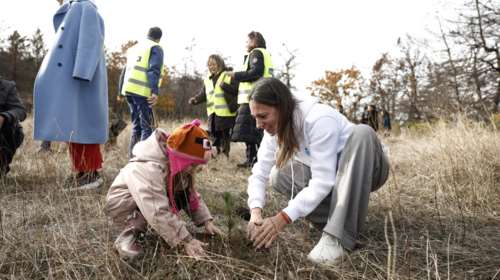 Σημαντική πρωτοβουλία: Η πρώτη αναδάσωση στο καμένο δάσος της Δαδιάς από μαθητές και φοιτητές