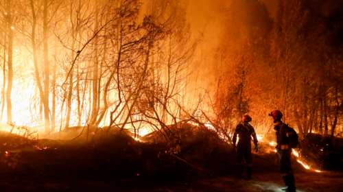 Σε πύρινο κλοιό και η Μακεδoνία: Πέντε πυρκαγιές σε εξέλιξη - Σκληρή προσπάθεια των πυροσβεστών για να μην ξεφύγουν