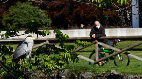 Κορονοϊός - Politico: Από μυστικές διακοπές μέχρι...&quot;κορονο-όργιο&quot; - Οι 28 πολιτικοί της ΕΕ που &quot;έφαγε&quot; η πανδημία
