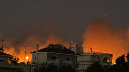 Λέκκας: Γιατί η Αττική δοκιμάζεται κάθε καλοκαίρι από πυρκαγιές – &quot;Από εδώ και πέρα δεν πρέπει να χάσουμε ούτε ένα δέντρο&quot;