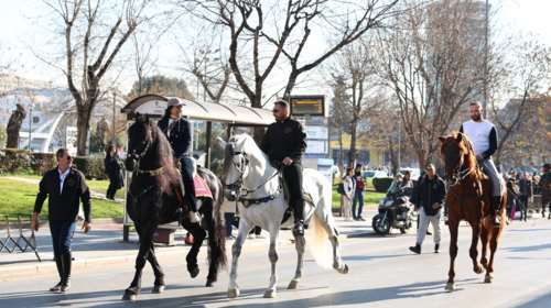 Θεσσαλονίκη: Βόλτα στην Τσιμισκή έκαναν εντυπωσιακά πανύψηλα άλογα - Μοναδικό θέαμα