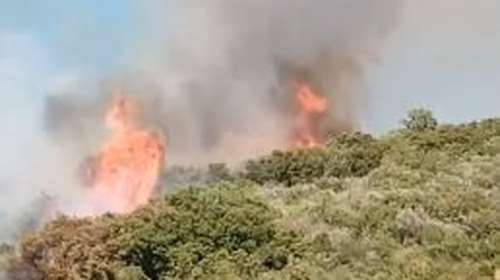 Νέος συναγερμός στην Ηλεία: Ξέσπασε φωτιά σε δασική έκταση στο Φανάρι Ανδρίτσαινας