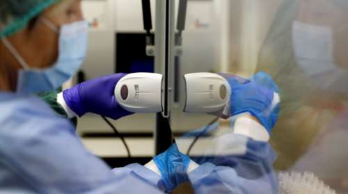 Καλά νέα: Πίθηκοι που εκτέθηκαν στον κορονοϊό απέκτησαν ανοσία - Τι δείχνουν δύο μελέτες