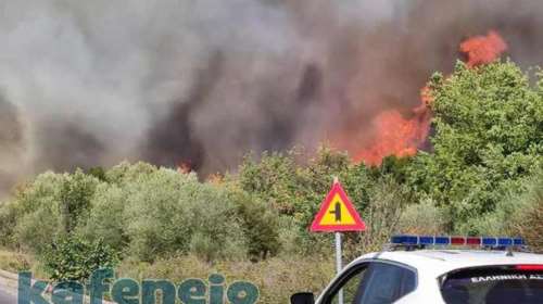 Φωτιά στη Μεγαλόπολη: Με εγκαύματα στα χέρια και το πρόσωπο ο αντιδήμαρχος - Σε καλύτερη κατάσταση το μέτωπο