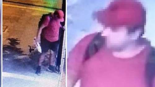 Απαλλάχτηκε με βούλευμα ο 42χρονος που κατηγορήθηκε ότι συνέθλιψε με το πόδι του γατάκι