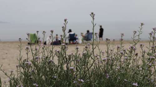 Τα &quot;πάνω κάτω&quot;  στις θερμοκρασίες σήμερα: 20,1 βαθμοί στα βόρεια, 4,4 στα νότια