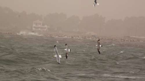 Καιρός: Σαββατοκύριακο με ισχυρές βροχές και καταιγίδες, ανέμους και πτώση της θερμοκρασίας - Και στην Αττική