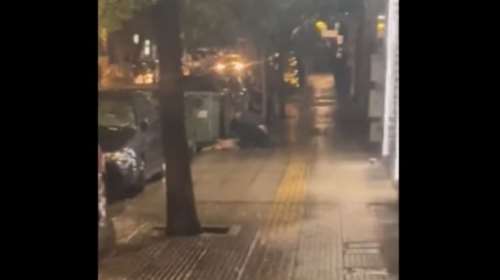 Στον εισαγγελέα τα ευρήματα για τη σκυλίτσα που μαχαίρωσε θανάσιμα 47χρονος στην Κυψέλη