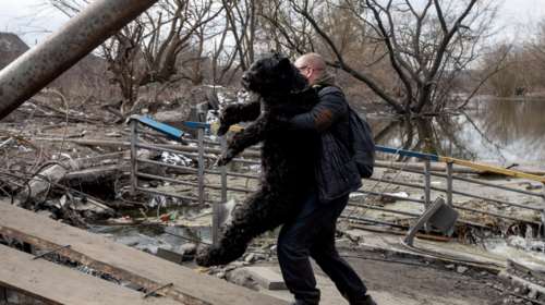 Η πρώτη ελληνική αποστολή ζωοτροφών για Ουκρανούς πρόσφυγες με κατοικίδια