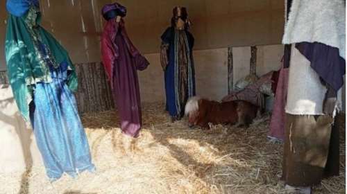 Αντιδράσεις για το ζωντανό πόνι στη φάτνη του Βόλου - &quot;Αυτοί οι τύποι ζουν στον δικό τους κόσμο&quot; απαντά ο Μπέος