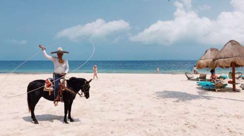 Οι ομορφότερες φωτογραφίες του 2020 που τραβήχτηκαν με iPhone