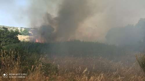 Συναγερμός στην Πυροσβεστική: Φωτιά ανάμεσα σε Παλλήνη και Ανθούσα