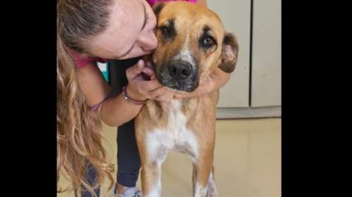 Σίμπα: Στον δρόμο τον μεγάλο ο ένας πλάι στον άλλο -  Αλλιώς όμως του τα έφερε η ζωή