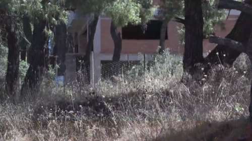 Αλαλούμ με τις δηλώσεις καθαρισμού των οικοπέδων: Βαριά τα πρόστιμα για τους ιδιοκτήτες [βίντεο]