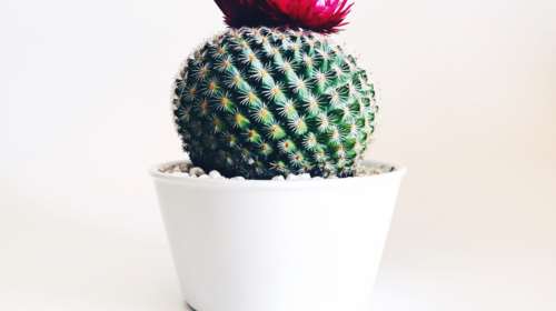 Αιμορροϊδοπάθεια: Νέα δεδομένα στη θεραπεία