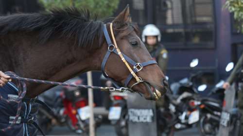 A Promise to Animals: Μια σκέψη για τα άλογα, με αφορμή την παρέλαση του Ιππικού την 25η Μαρτίου που τελικά- ευτυχώς- αναβλήθηκε
