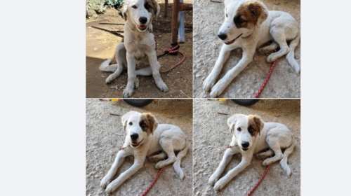 Αυτό το γλυκό κοριτσάκι, μόλις 5 μηνών, ζει σε ένα αμαξοστάσιο