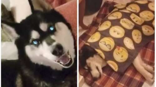 Όλιβερ: &quot;Μόλις πήγε το Ανθρωποκτονιών, την επόμενη μέρα ξεκίνησε το παραμύθι της αγέλης&quot; - Τι κατήγγειλε η Μ. Πουλτίδου