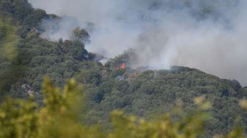 Συναγερμός στην Πυροσβεστική: Φωτιά στο Λαύριο