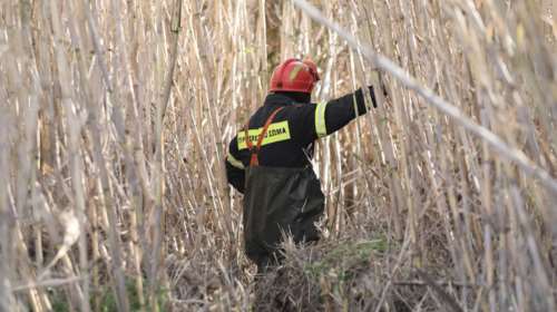 Θρίλερ στον Πύργο: Νεκρός εντοπίστηκε 55χρονος ιερέας σε δύσβατη περιοχή της κοινότητας Λαμπείας