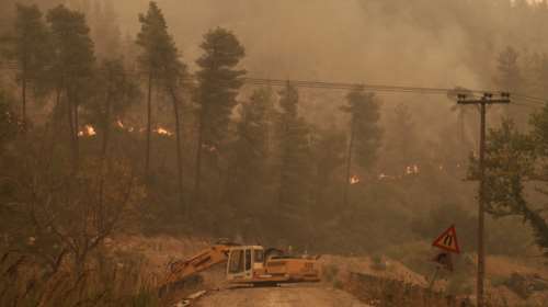 Φωτιές σε Αττική και Εύβοια: Έκθεση σοκ που προέβλεψε την καταστροφή - Οι παραλείψεις και τα προβλήματα