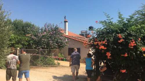 Άγριο έγκλημα στα Φιλιατρά: Απολυμένος εργάτης ο ύποπτος για τη δολοφονία της 57χρονης