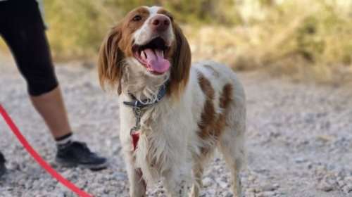 Η Όλγα είναι  μια χίπισσα: Ολοι είναι καλοί, όλοι είμαστε φίλοι, όλοι αγαπιόμαστε - Είναι πάντα με το χαμόγελο