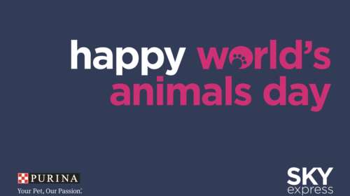 SKY express και PURINA κάνουν το ταξίδι ακόμα πιο ξεχωριστό για τους τετράποδους επιβάτες