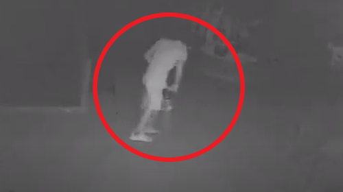 Βίντεο - ντοκουμέντο με σπείρα στα Νότια Προάστια - Έτσι είχαν ρημάξει καφετέριες και μπαρ