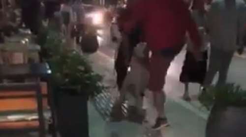 Νέο σοκαριστικό βίντεο κακοποίησης ζώου - Άνδρας κλωτσάει σκύλο στα Ιωάννινα