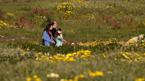 Αίθριος ο καιρός σήμερα με άνοδο της θερμοκρασίας - Ερχεται ανοιξιάτικο Σαββατοκύριακο