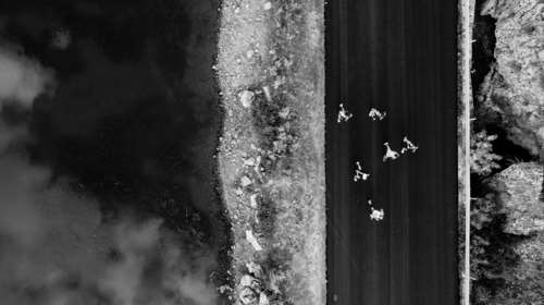 Στη μαγευτική λίμνη των Ιωαννίνων το Lake Run 2022 παρέα με τη Βίκος Α.Ε.