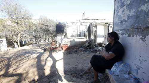 Συνολάκης: Χρειάζονται διαφορετική διαχείριση τα δάση - Προληπτικά μέτρα και αλλαγή της στρατηγικής