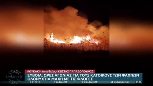 Εύβοια: Ανεξέλεγκτη η πυρκαγιά στα Ψαχνά - Καίγεται ο υδροβιότοπος Κολοβρέχτη [βίντεο]