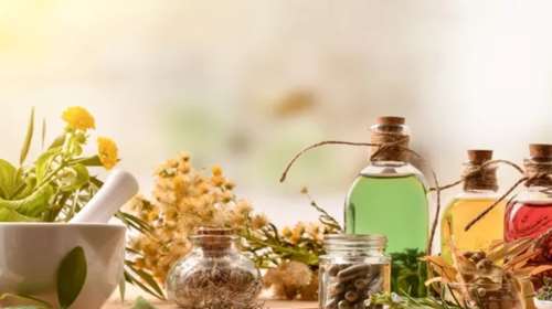 Τι είναι τα φυτικά φάρμακα; Η δράση και η ασφάλειά τους