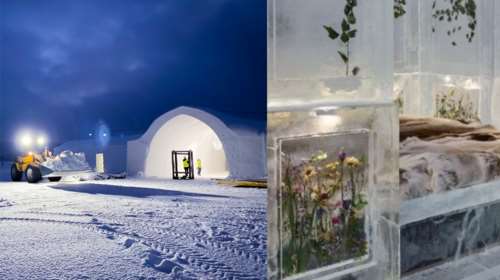 Σουηδία: Παραμυθένιο το Icehotel - Για πρώτη φορά λουλούδια και φυτά στη σύνθεση από χιόνι και πάγο [Εικόνες-Βίντεο]