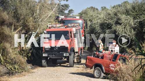 Φωτιά ξανά στην Ηλεία: Καίει ελαιόδενδρα στο Τραγανό